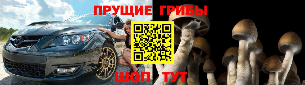 Энгельс  Галлюциногенные грибы GOLDEN TEACHER  Вход с VPN 
